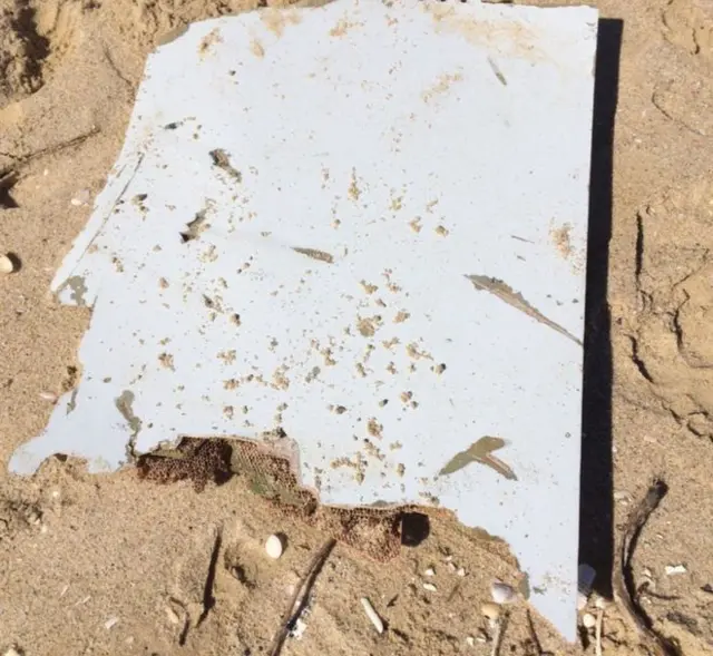 piece of debris photographed on beach