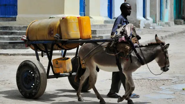 Donkey drags a cart