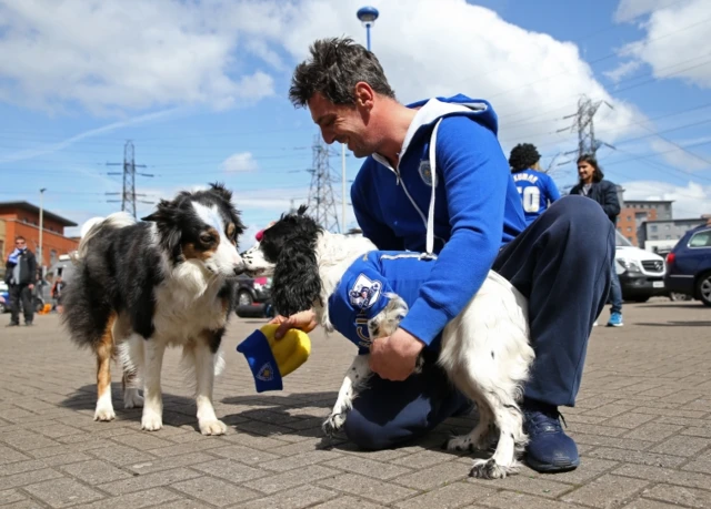 Fan and his dogs