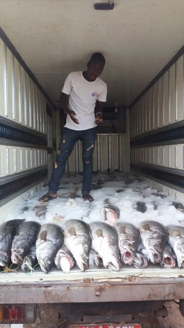 Man standing behind some frozen fish