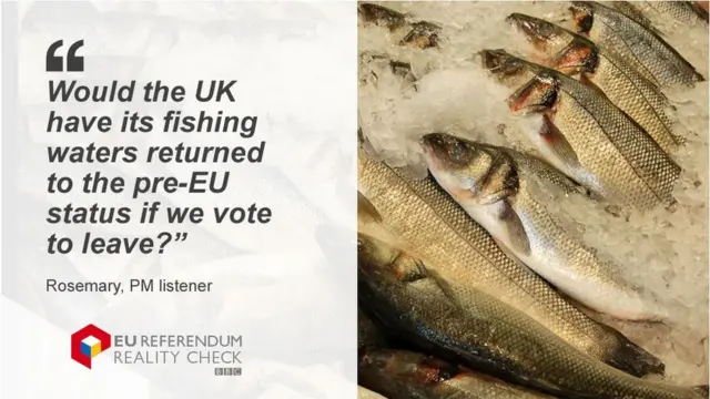 Rosemary asks: "Would the UK have its fishing waters returned tot eh pre-EU status if we vote to leave?"