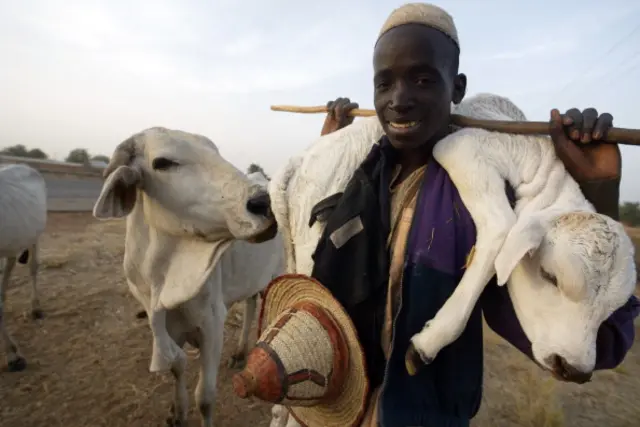 A Fulani herdsman