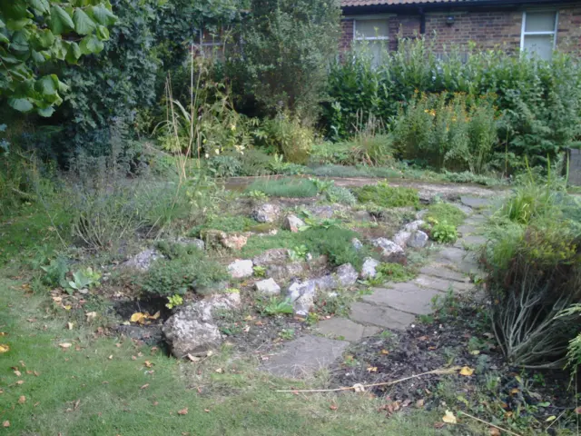 Hertfordshire Puddingstone rock