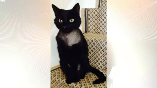 Tom