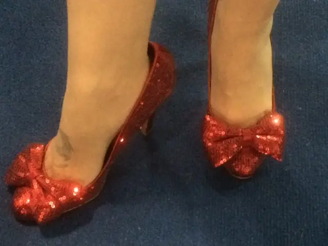 Gail Ross, SNP candidate for Caithness, Sutherland & Ross, rocking the count in Dingwall with a pair of ruby slippers