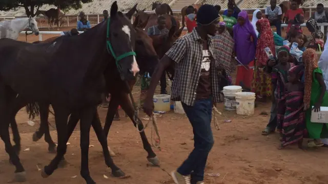 Keffi Polo Ranch, Nigeria