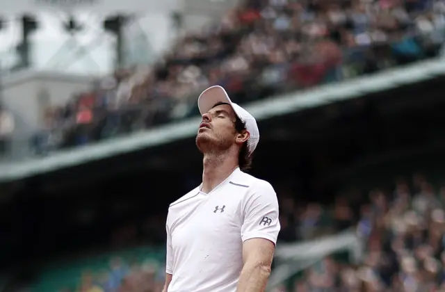 Andy Murray