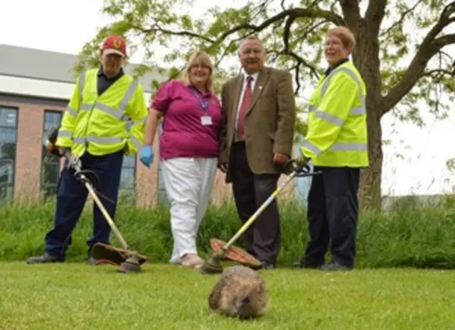 Hedghog and strimmers