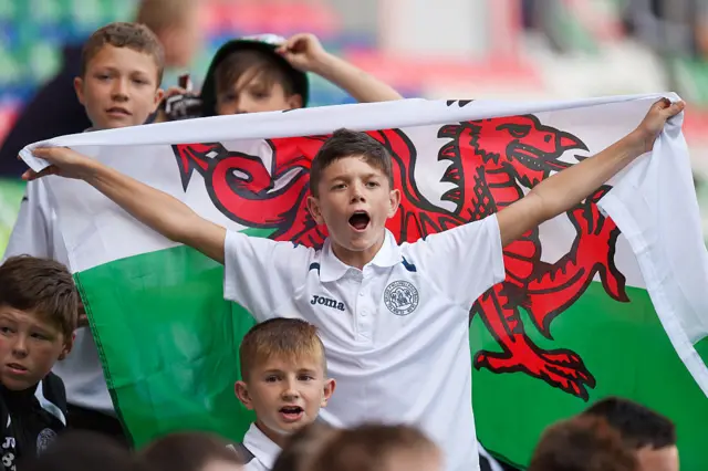 A young Wales fan