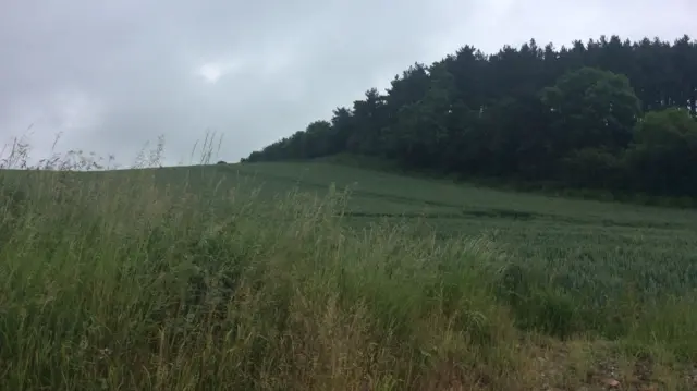 Quarry site