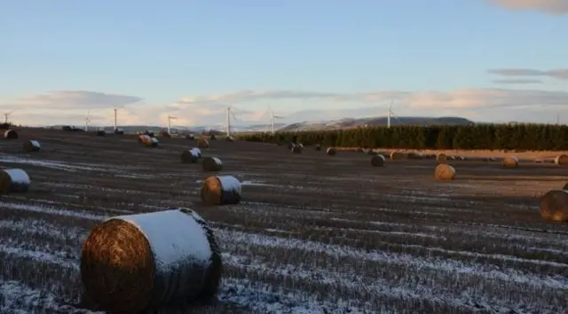 Hay bail covered in frost