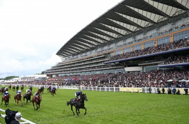 Caravaggio wins at Royal Ascot