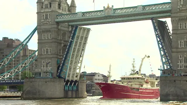 Flotilla heading under London's Tower Bridge