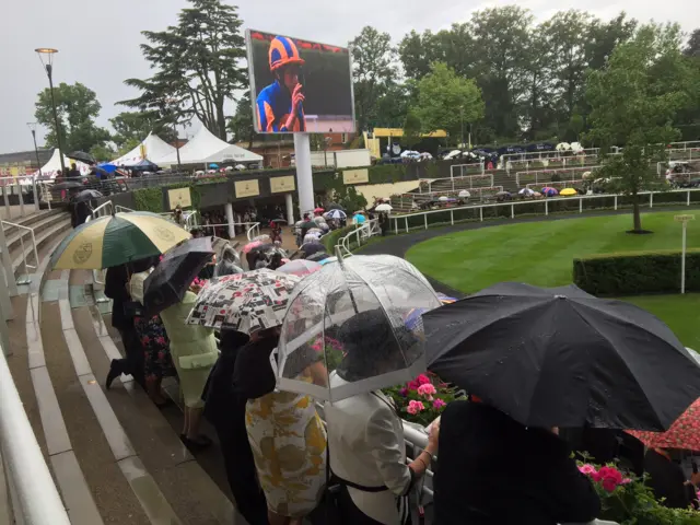 Umbrellas royal ascot