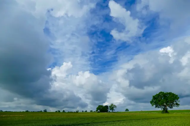 Field near Yaxley