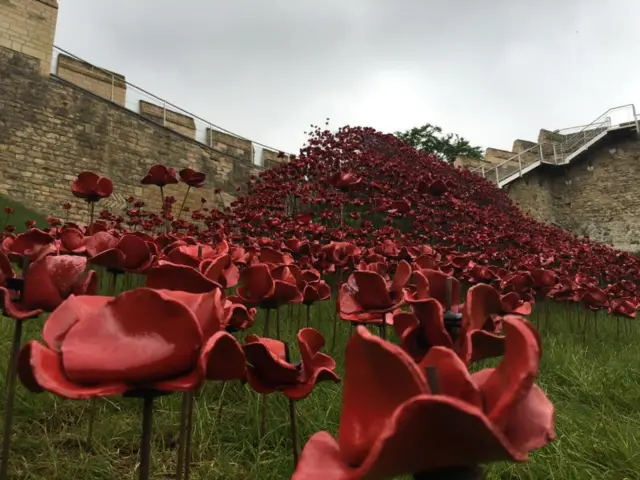 Lincoln Castle poppies