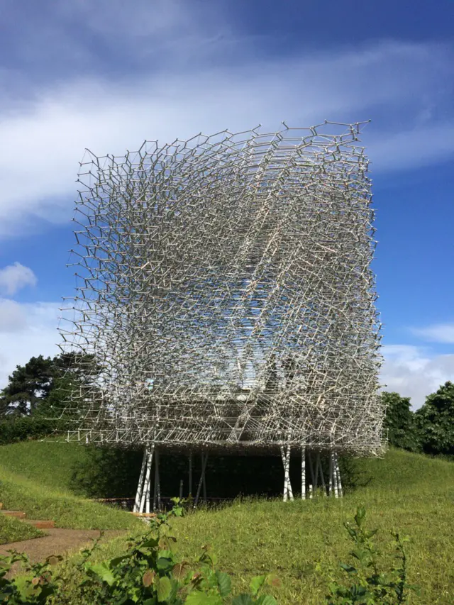 Wolfgang Buttress