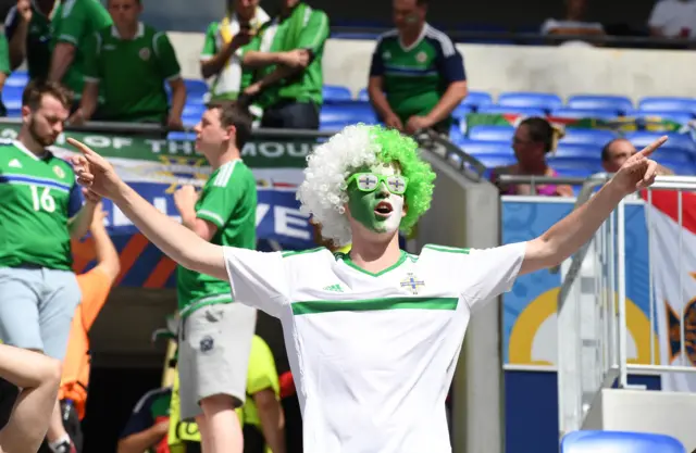 NI fan celebrates win against Ukraine