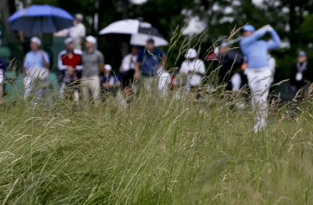 Rough at Oakmont