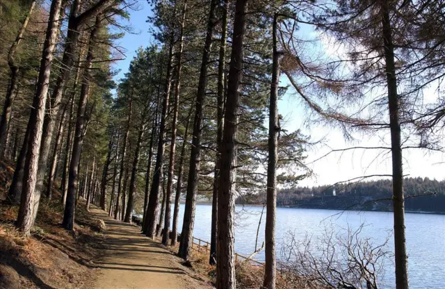 Path at Langsett