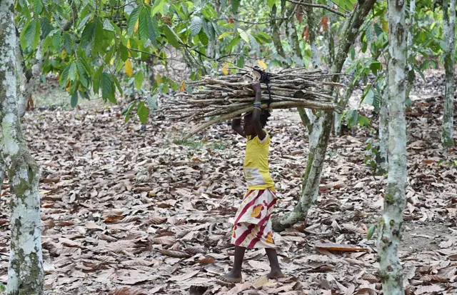 Young girl carries firewood through the woods