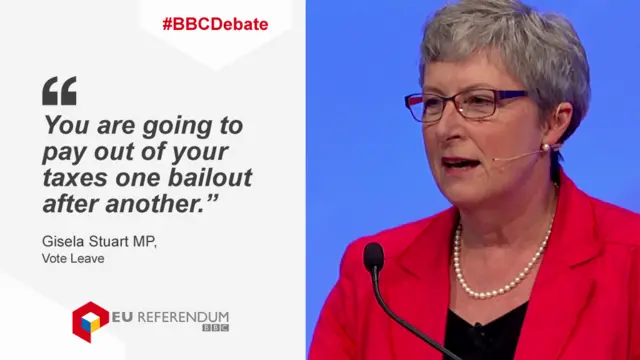 Gisela Stuart talking about bail-outs