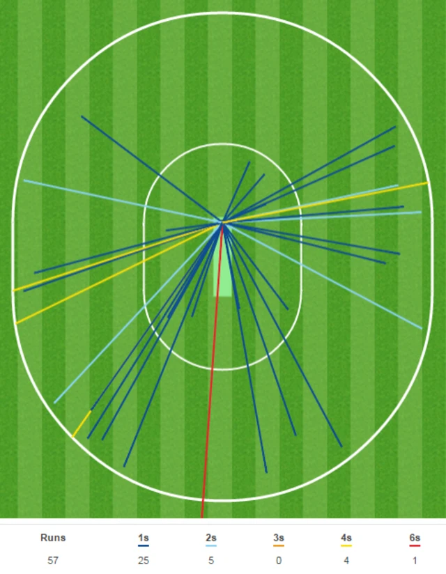 Jos Buttler wagon wheel