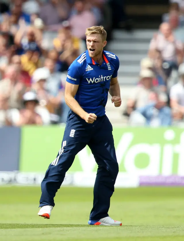 David Willey celebrates