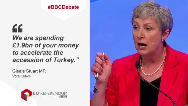 Gisela Stuart talking about spending on Turkey