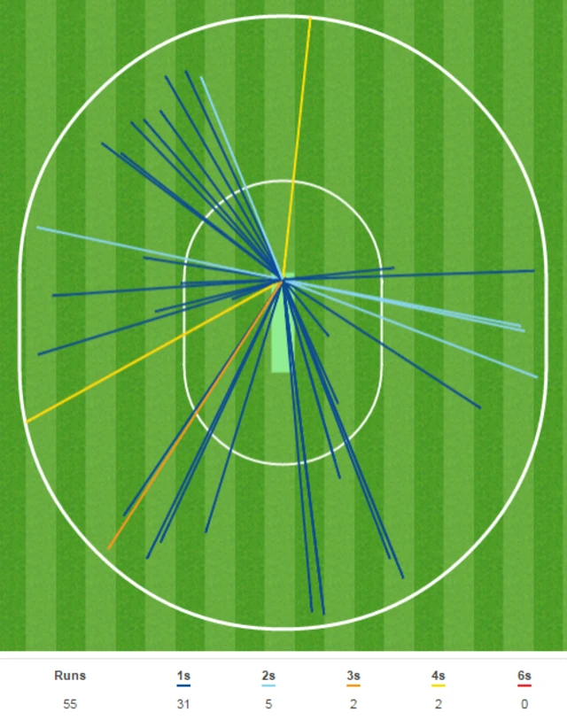 Chris Woakes wagon wheel