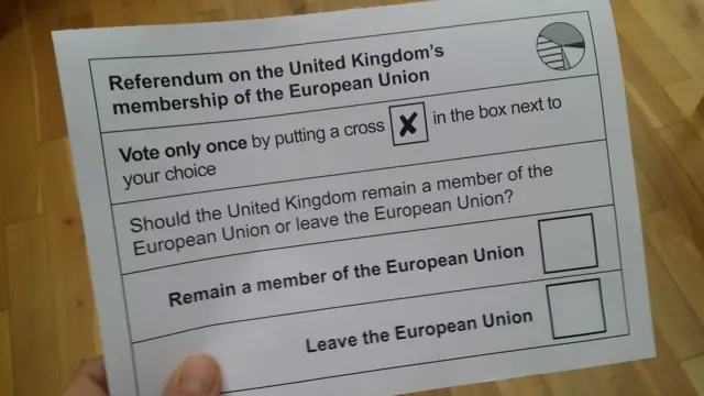 Ballot paper for the EU