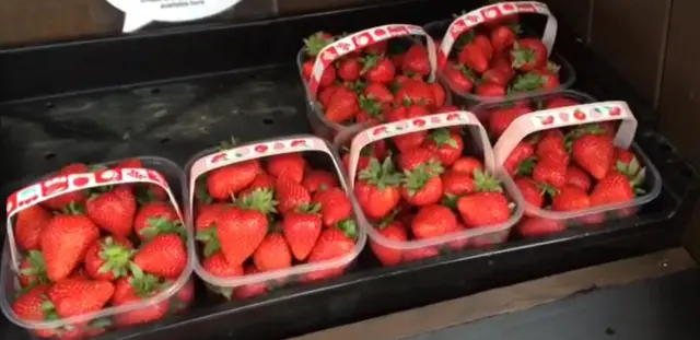 Strawberries in punnets