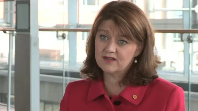 Plaid Cymru leader Leanne Wood