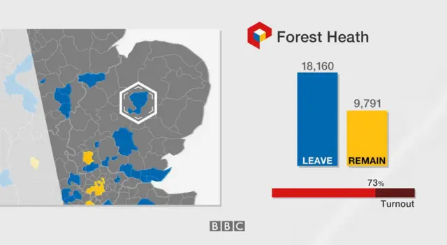 Forest Heath: 18,160 leave, 9,791 remain