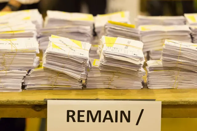 Remain ballot papers