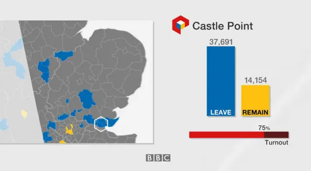 Castle Point result: 37,691 leave, 14,15 remain