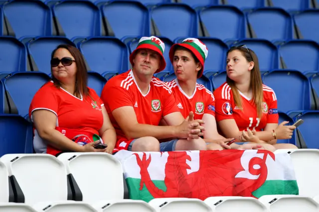 Wales fans in stadium