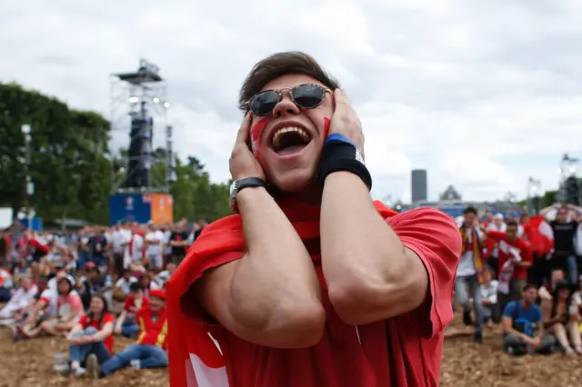 Swiss supporter