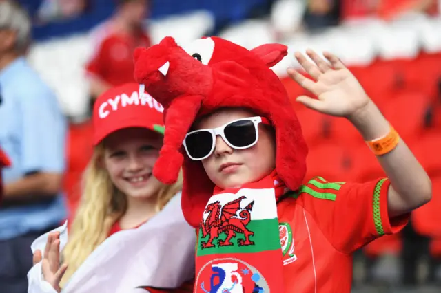 Wales supporter dressed as dragon