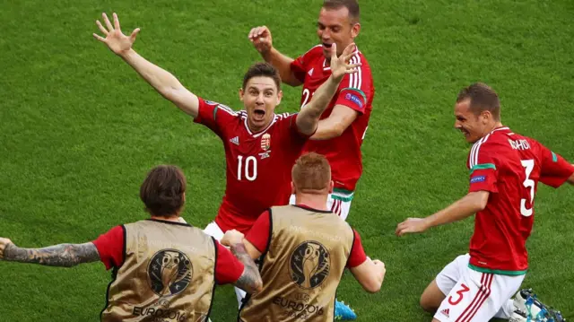 Zoltan Gera (10) celebrates