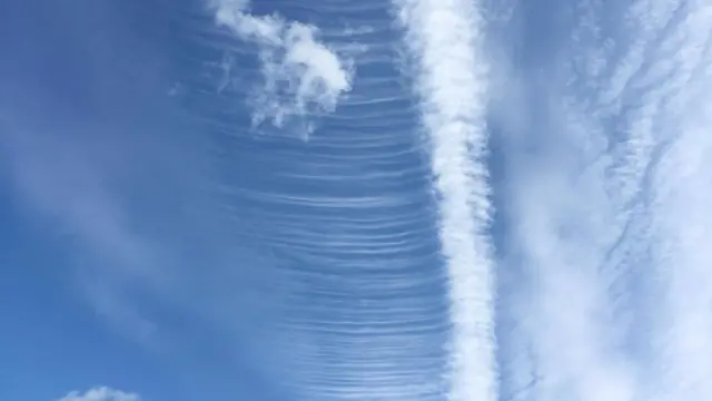 Cirrus fibratus vertebratus