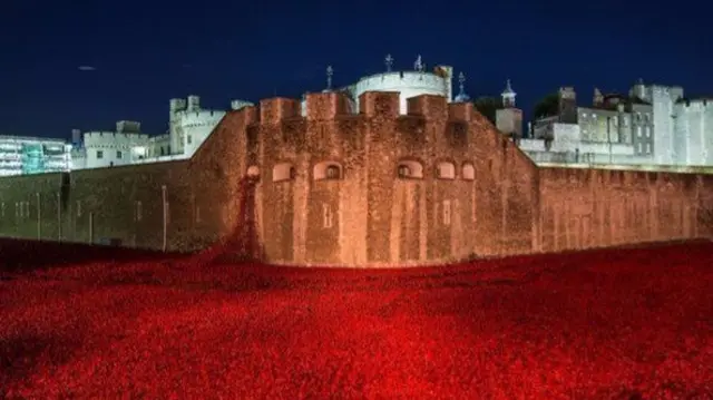 Poppies