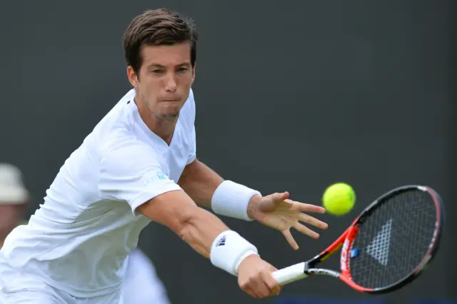 Aljaz Bedene