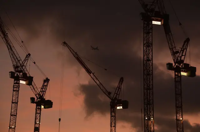 Cranes at dusk