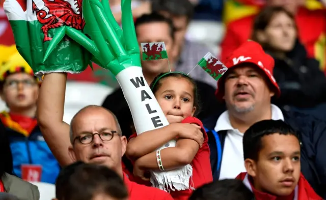 Young Wales fan