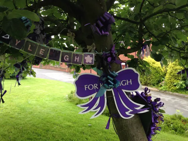 Purple bow tied to a tree