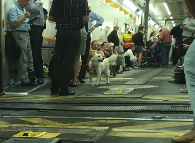 Stranded passengers in Eurotunnel