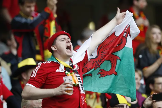 Wales fan