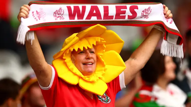 Wales fan waving scarf