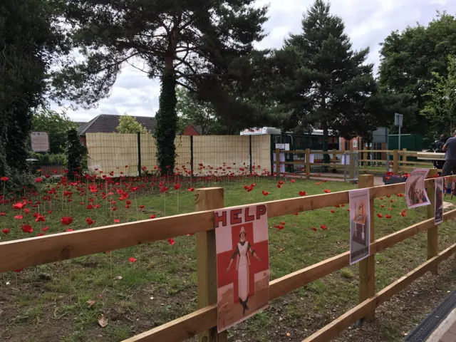 School poppies